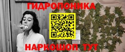 шишки Апшеронск